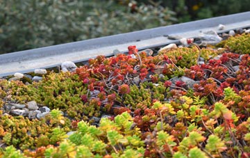 the cost of Ensbury Park green roof installation