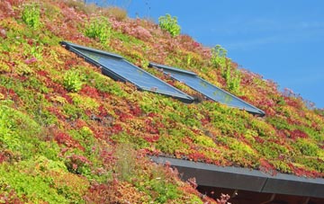 Ensbury Park living roof systems