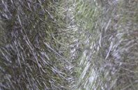 Ensbury Park fibreglass roof work